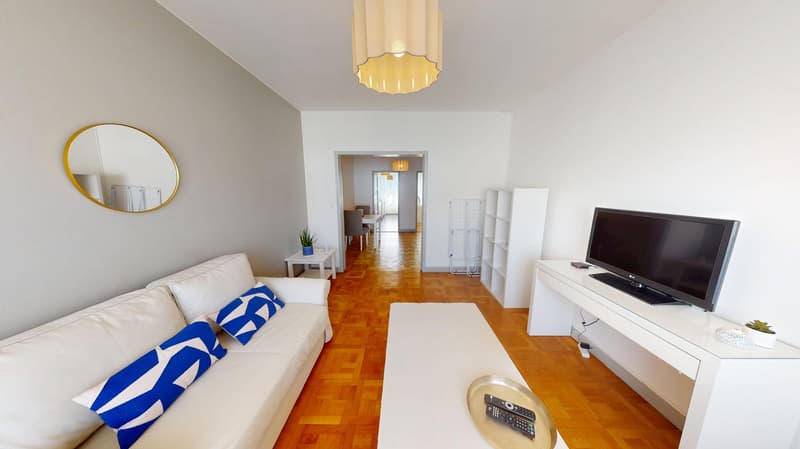 Luminous 2-bedroom apartment in the Charmilles district (2)