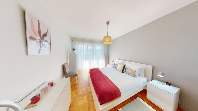 Luminous 2-bedroom apartment in the Charmilles district (6)
