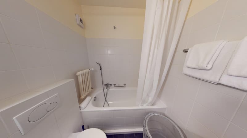 Luminous 2-bedroom apartment in the Charmilles district (16)
