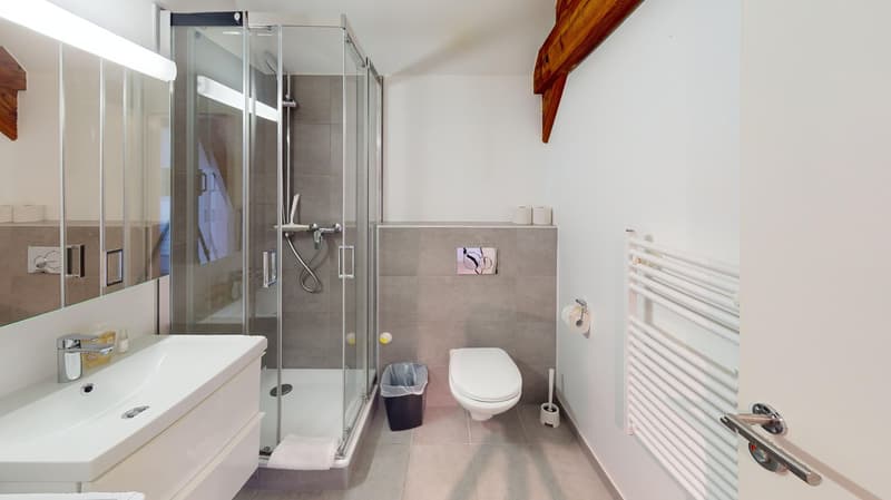 Modern bathroom with glass shower enclosure, white vanity sink, toilet, and heated towel rack