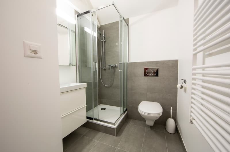 Fully equipped studio - Lausanne (4)