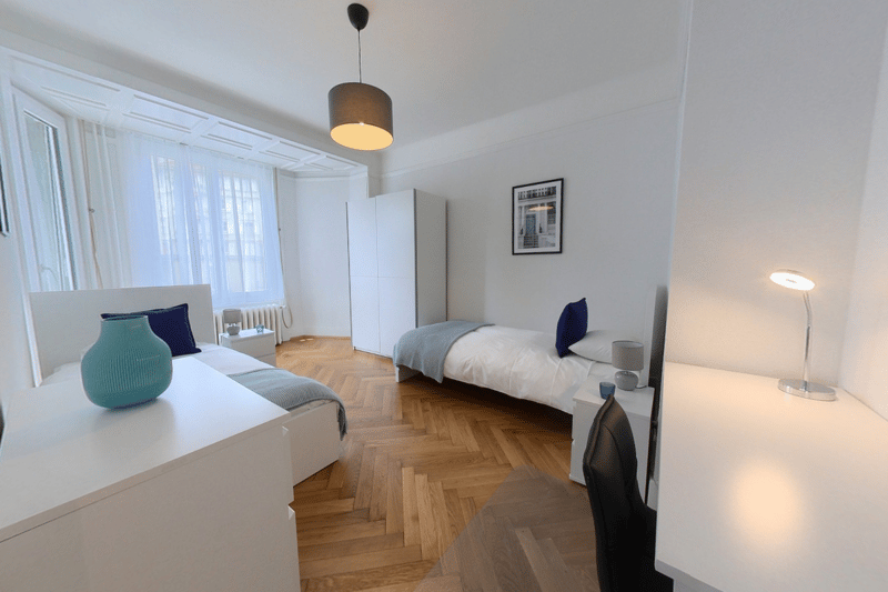 Spacious 80 m² 2-bedroom apartment - Montchoisi, quiet residential area. (5)