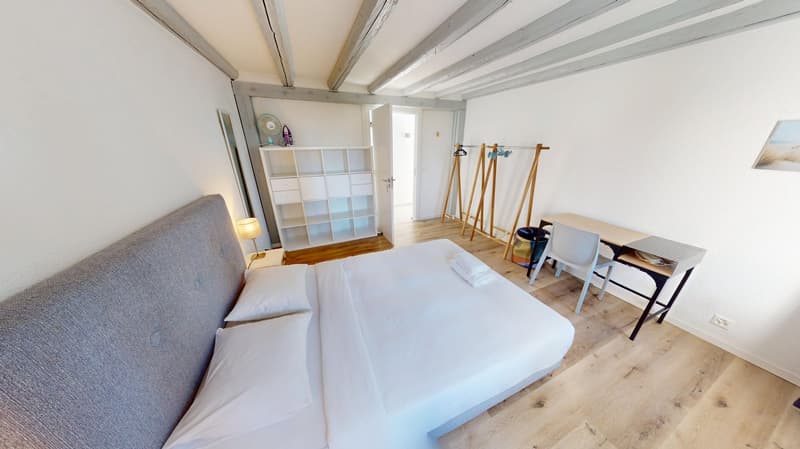 Modern & Spacious 1-Bedroom Apartment - Excellent Location near Union Prilly (7)