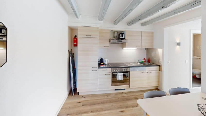 Modern & Spacious 1-Bedroom Apartment - Excellent Location near Union Prilly (8)