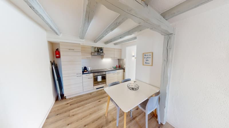 Modern & Spacious 1-Bedroom Apartment - Excellent Location near Union Prilly (6)