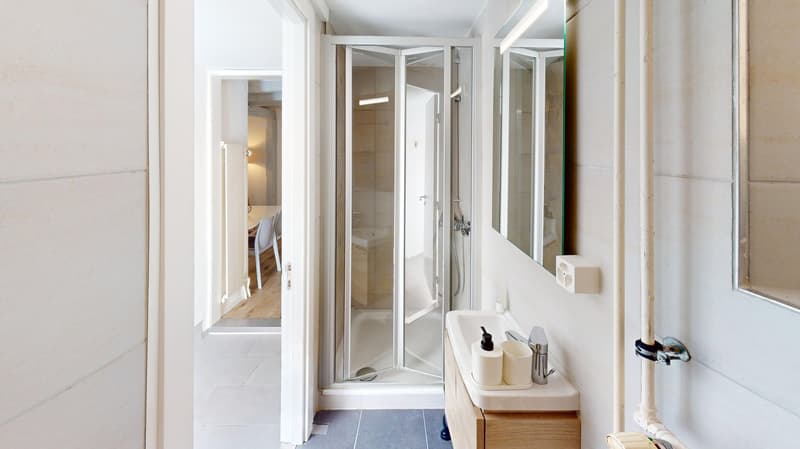 Modern & Spacious 1-Bedroom Apartment - Excellent Location near Union Prilly (14)