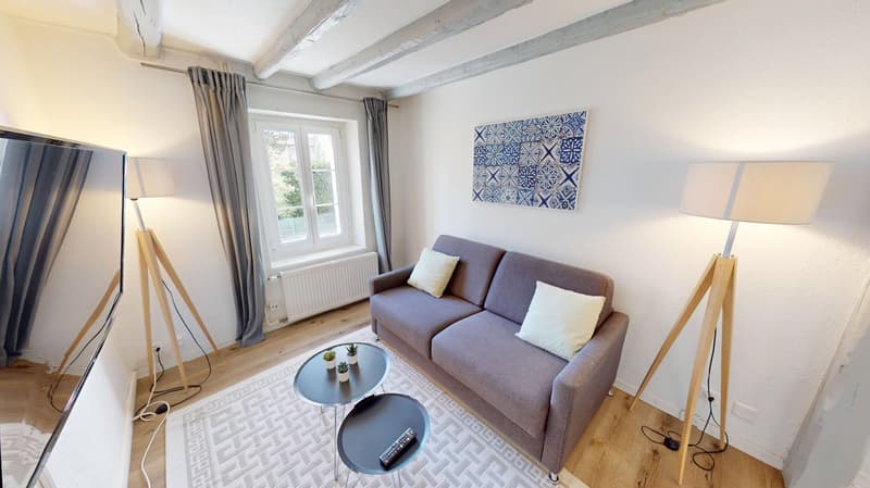 Modern & Spacious 1-Bedroom Apartment - Excellent Location near Union Prilly (3)