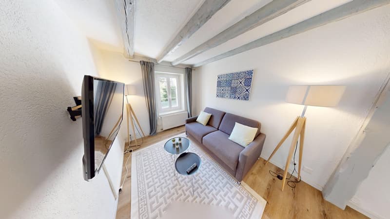 Modern & Spacious 1-Bedroom Apartment - Excellent Location near Union Prilly (2)