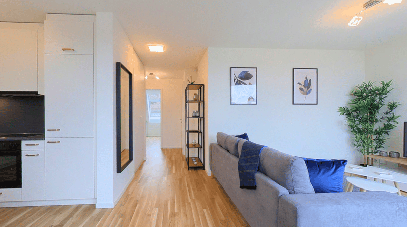 Spacious 1-Bedroom Furnished Apartment with Balcony - Central Lausanne (3)
