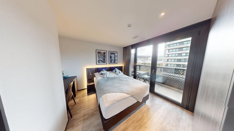 Stylish Furnished 2-Room Apartment with Balcony (11)