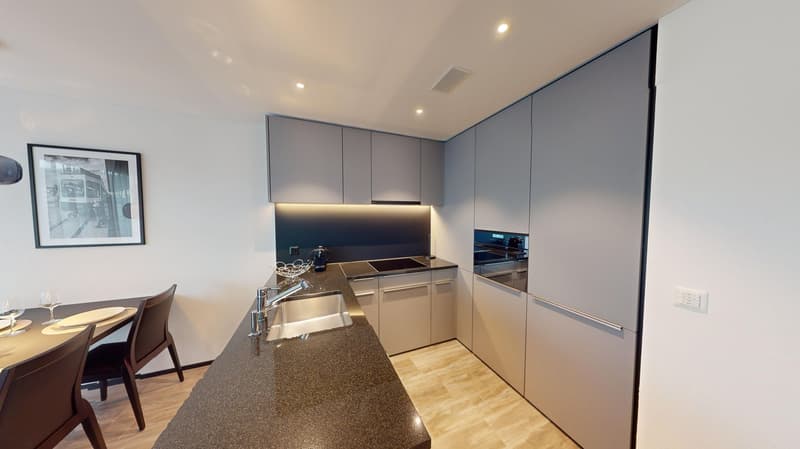 Stylish Furnished 2-Room Apartment with Balcony (2)