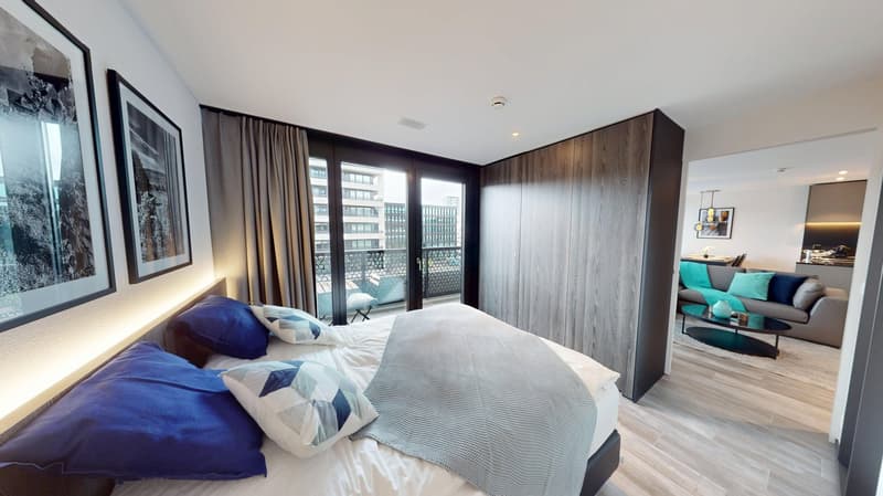 Stylish Furnished 2-Room Apartment with Balcony (13)