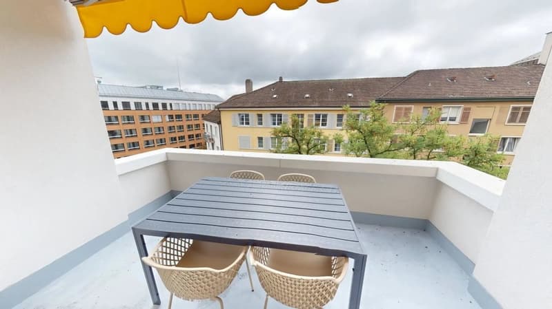 Well-Connected 1-Bedroom Apartment in Zurich (8)