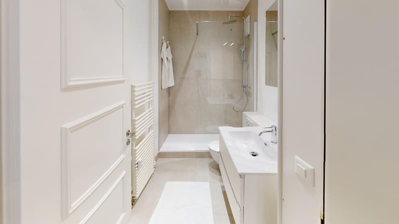 Charming 3.5-Room Apartment with Balcony in Zürich 8006 (16)