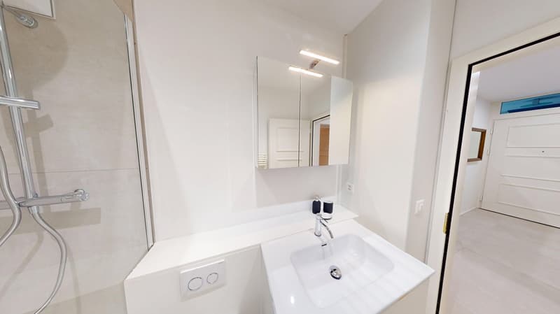 Charming 3.5-Room Apartment with Balcony in Zürich 8006 (14)