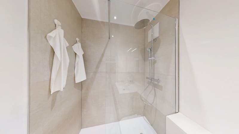 Charming 3.5-Room Apartment with Balcony in Zürich 8006 (15)