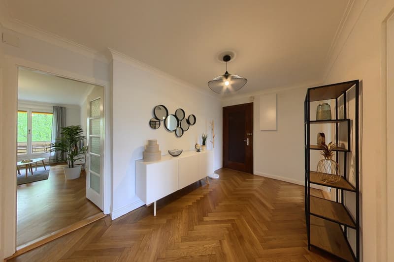 Appartement meublé 85 m2 au centre de Genève (3)