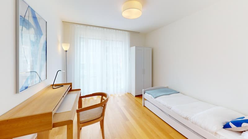 Furnished 2-Bed with balcony and parking in Nyon/Appartement 2 chambres avec balcon et parking Nyon (8)