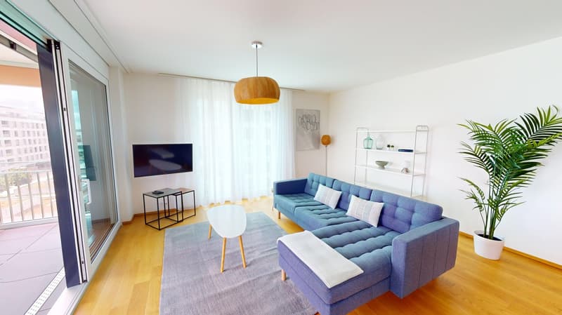 Furnished 2-Bed with balcony and parking in Nyon/Appartement 2 chambres avec balcon et parking Nyon (2)