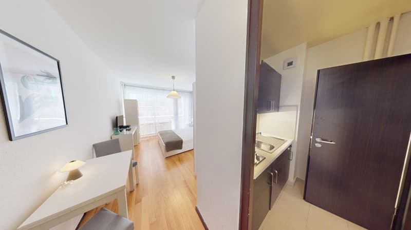 Well-located Studio Apartment in Geneva's Plainpalais District (4)