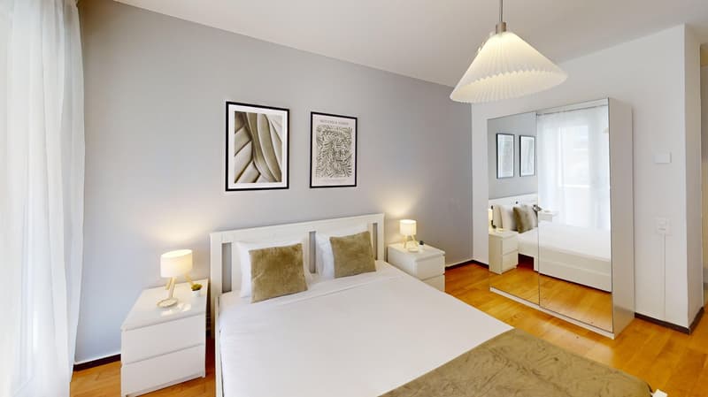 Well-located Studio Apartment in Geneva's Plainpalais District (5)