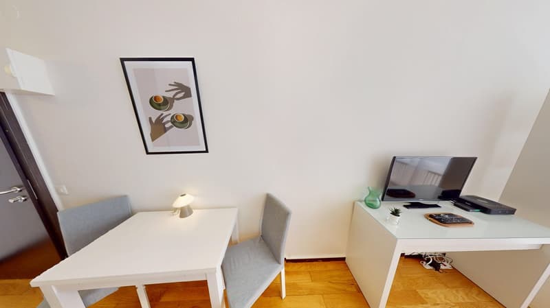 Well-located Studio Apartment in Geneva's Plainpalais District (7)