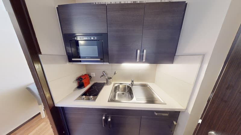 Well-located Studio Apartment in Geneva's Plainpalais District (8)