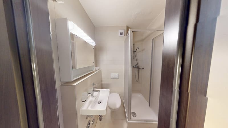 Well-located Studio Apartment in Geneva's Plainpalais District (10)