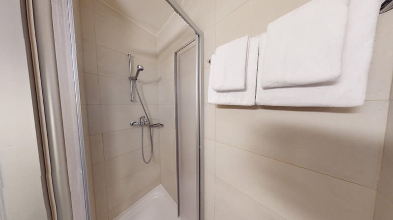 Well-located Studio Apartment in Geneva's Plainpalais District (11)