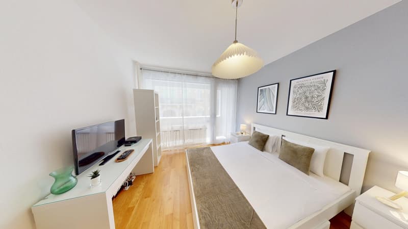 Well-located Studio Apartment in Geneva's Plainpalais District (2)