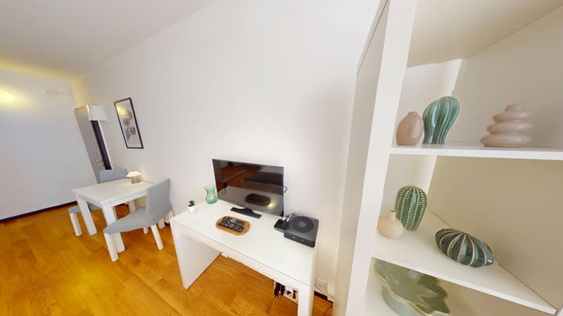 Well-located Studio Apartment in Geneva's Plainpalais District (6)