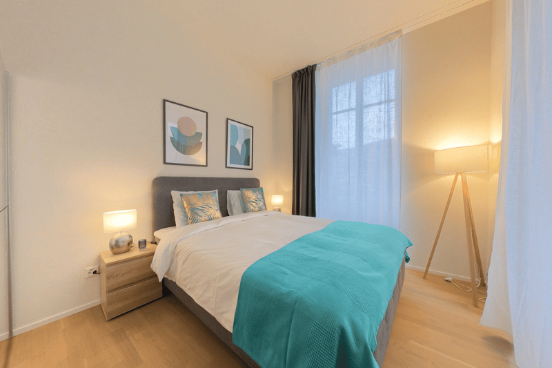 Large and Comfortable 1-Bed Furnished Apartment City Center with Utilites  Included (5)