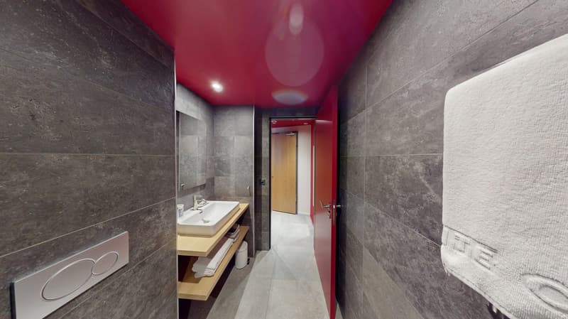 Charming furnished studio near Geneva Lake (Cornavin District) (16)