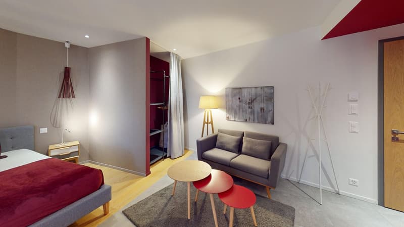 Charming furnished studio near Geneva Lake (Cornavin District) (20)
