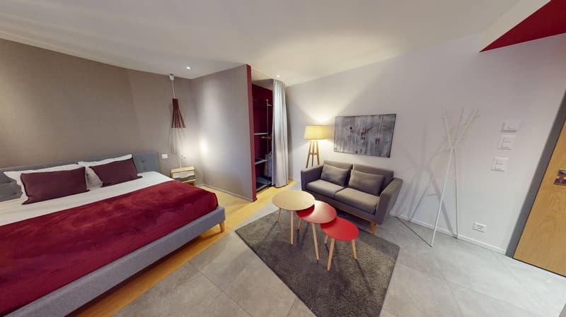 Charming furnished studio near Geneva Lake (Cornavin District) (8)