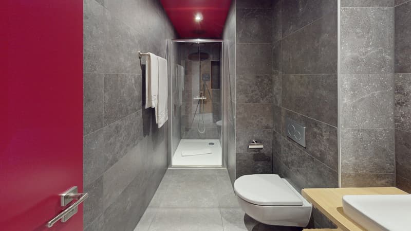 Charming furnished studio near Geneva Lake (Cornavin District) (7)
