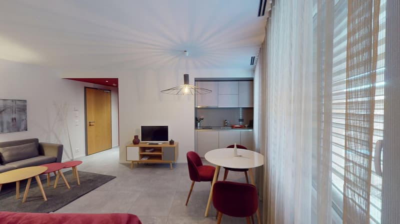 Charming furnished studio near Geneva Lake (Cornavin District) (3)