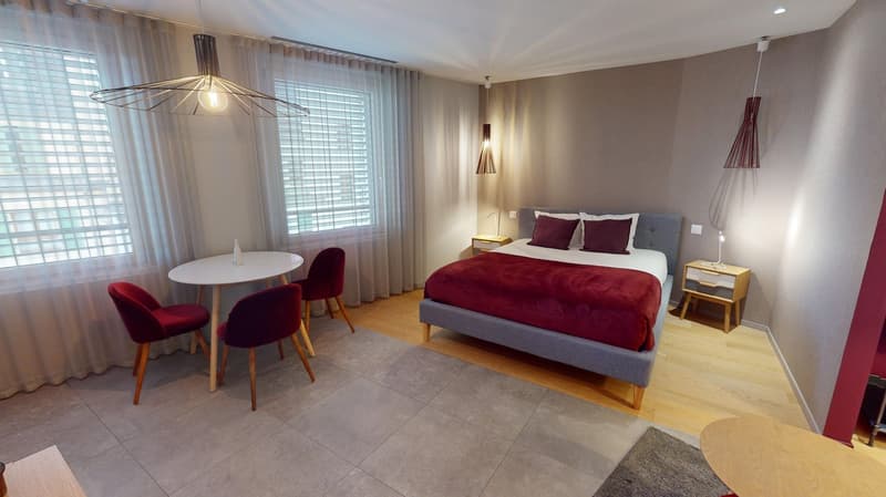 Charming furnished studio near Geneva Lake (Cornavin District) (17)