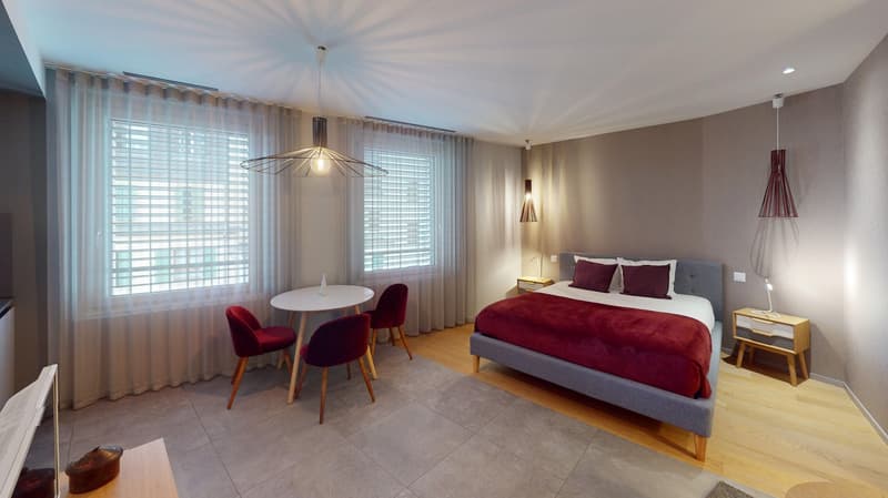Charming furnished studio near Geneva Lake (Cornavin District) (2)