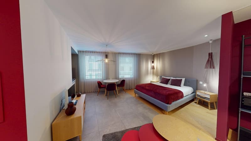 Charming furnished studio near Geneva Lake (Cornavin District) (4)