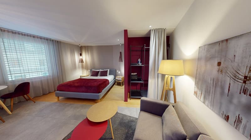 Charming furnished studio near Geneva Lake (Cornavin District) (9)