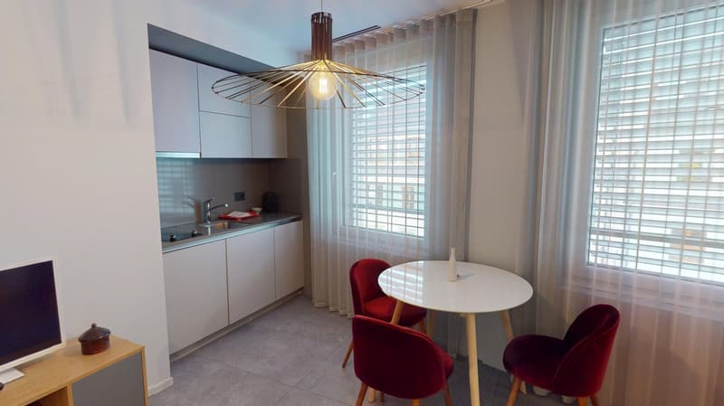 Charming furnished studio near Geneva Lake (Cornavin District) (11)