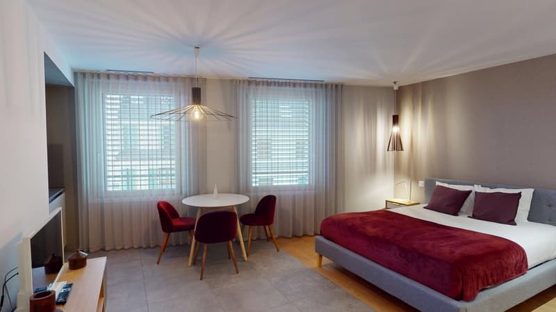 Charming furnished studio near Geneva Lake (Cornavin District) (10)