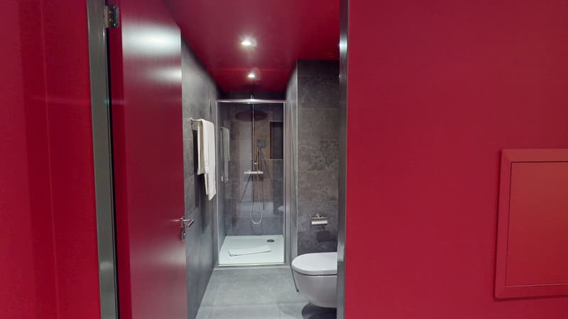 Charming furnished studio near Geneva Lake (Cornavin District) (13)