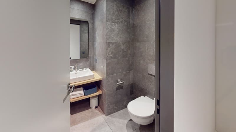 Charming furnished studio near Geneva Lake (Cornavin District) (13)