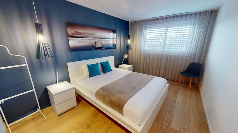 Charming furnished studio near Geneva Lake (Cornavin District) (6)