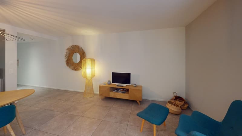 Charming furnished studio near Geneva Lake (Cornavin District) (19)