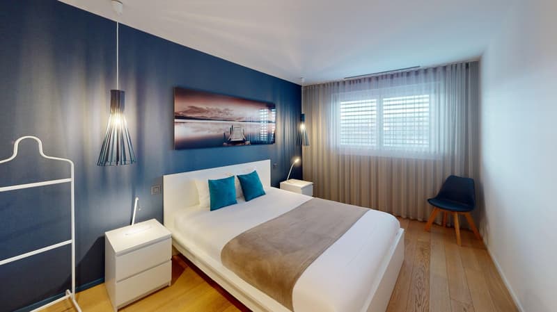 Charming furnished studio near Geneva Lake (Cornavin District) (18)