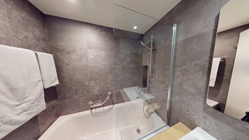 Charming furnished studio near Geneva Lake (Cornavin District) (12)