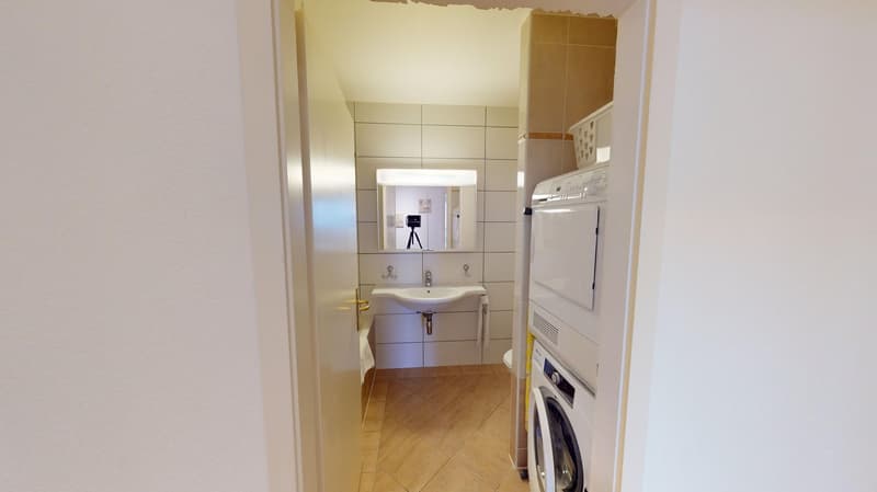 Spacious 2-Bed,2 Bath Apartment with Parking, Balcony and Lake View! (10)